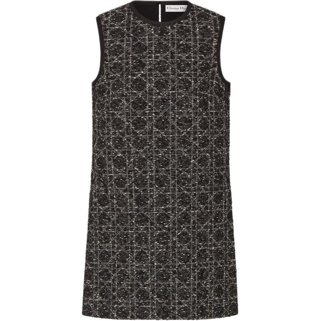 DIOR FW24 Sleeveless Dress Women's Multicolor