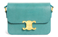 CELINE Triumphal Arch Rare Lizard Skin Shoulder Bag Handbag Shoulder Bag Crossbody Bag Regular Women's Smoke Gray Green