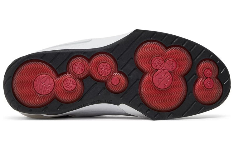 Air Jordan 20 OG 'Midwest' 310455-102