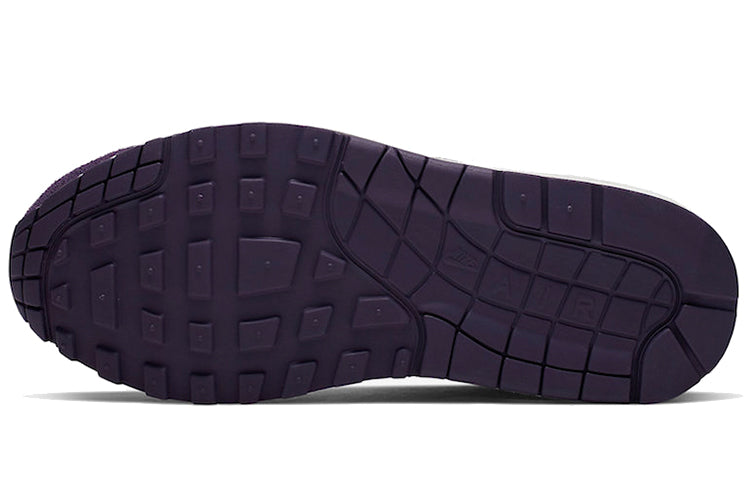 (WMNS) Nike Air Max 1 'Grand Purple' 319986-610