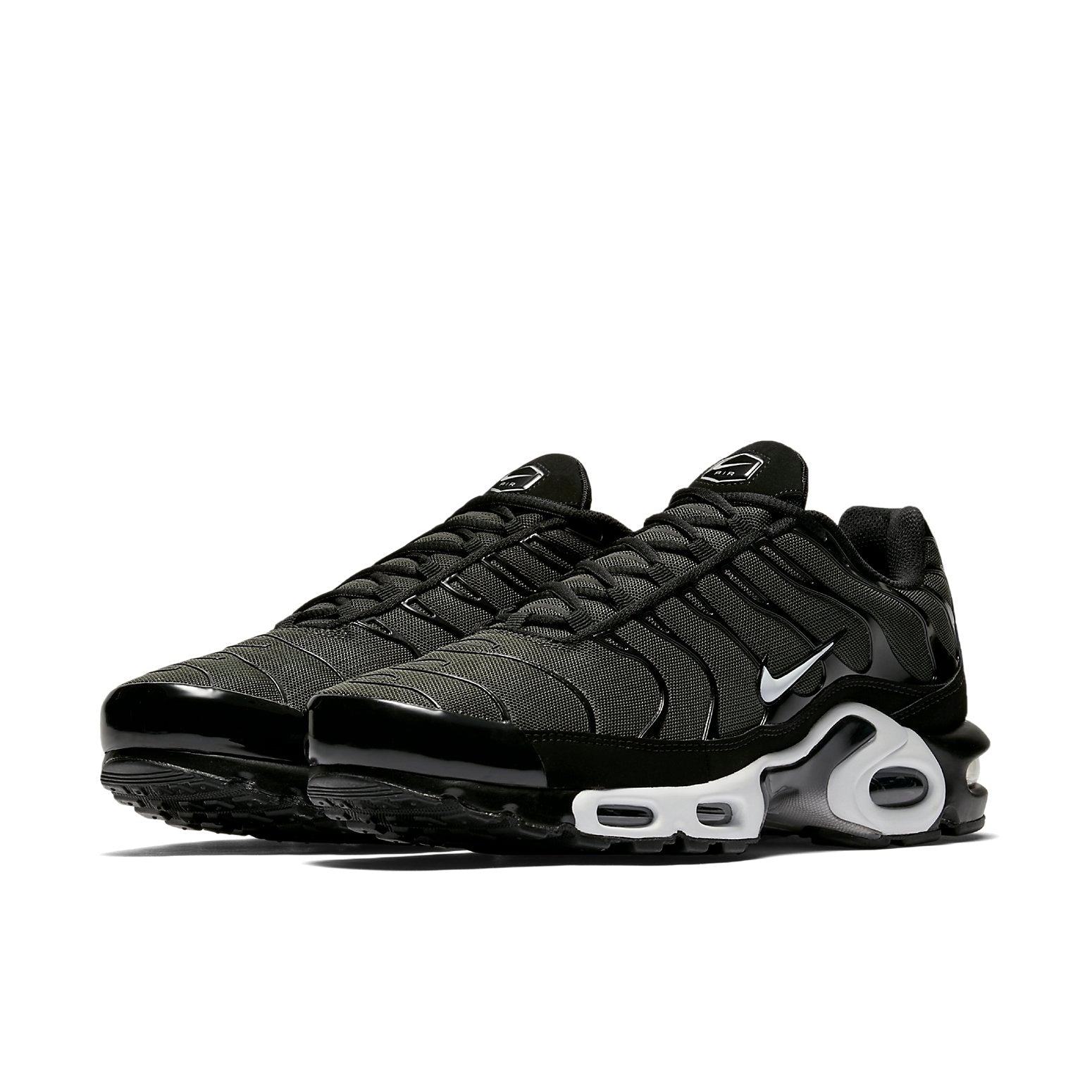 Nike Air Max Plus 'Black Sequoia' 852630-031