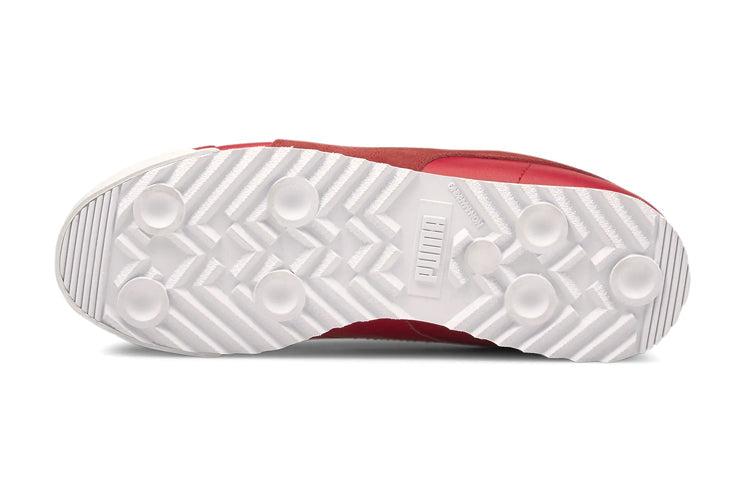 (GS) PUMA Scuderia Ferrari Race Roma Low Top Running Shoes Red 306656-02