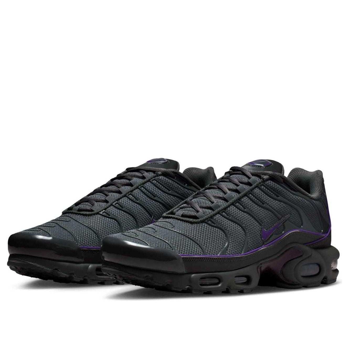 Nike Air Max Plus 'Iron Grey Wild Grape' HV8066-001
