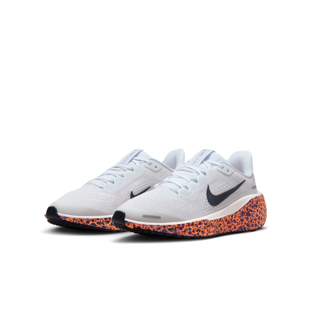 (GS) Nike Pegasus 41 Electric Pack 'Olympic Safari' FV3461-001