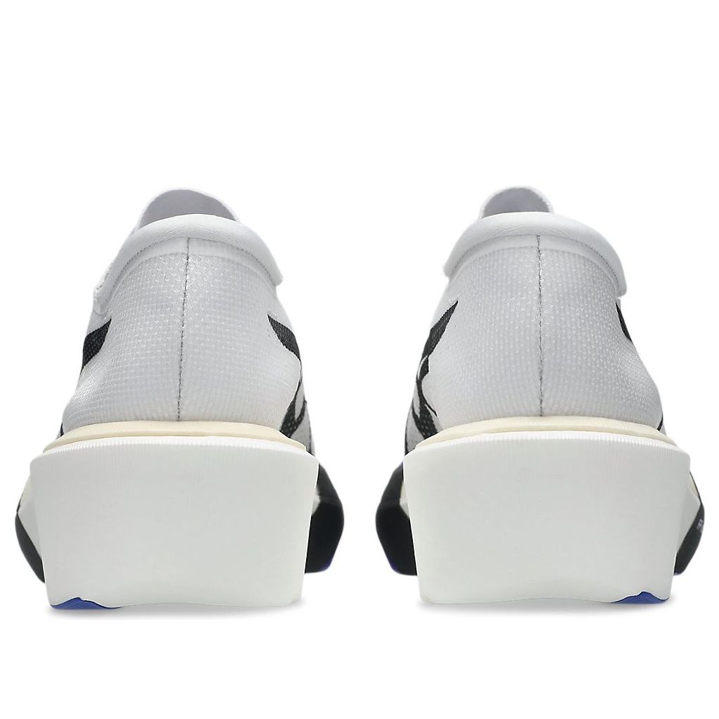 ASICS Metaspeed Sky Tokyo 'White Cobalt Burst' 1013A162-101