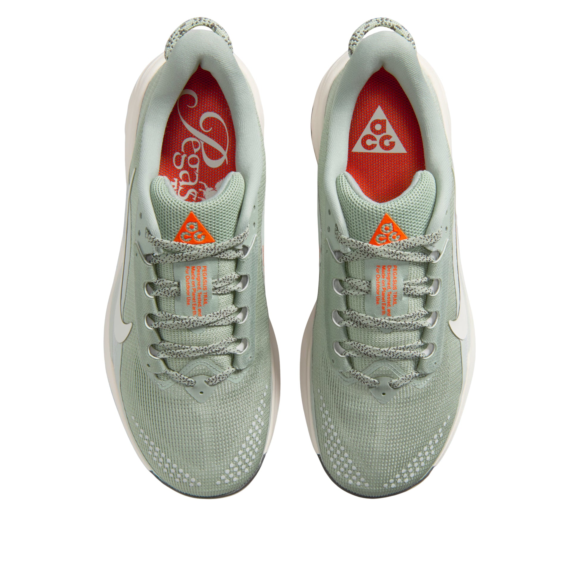 (WMNS) Nike ACG Pegasus Trail 'Jade Horizon Light Silver' HV8121-310