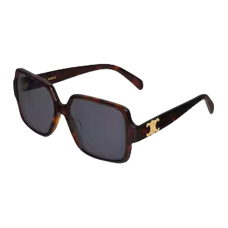 CELINE Triomphe 16 Sunglasses In Acetate