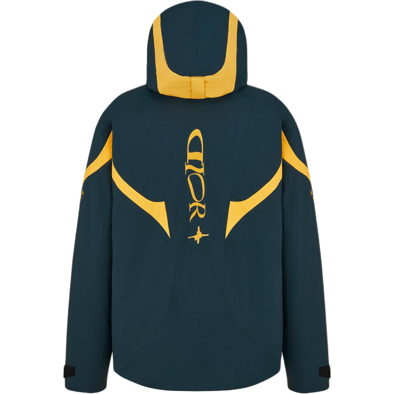 DIOR X Descente X Lewis Hamilton Ski Parka