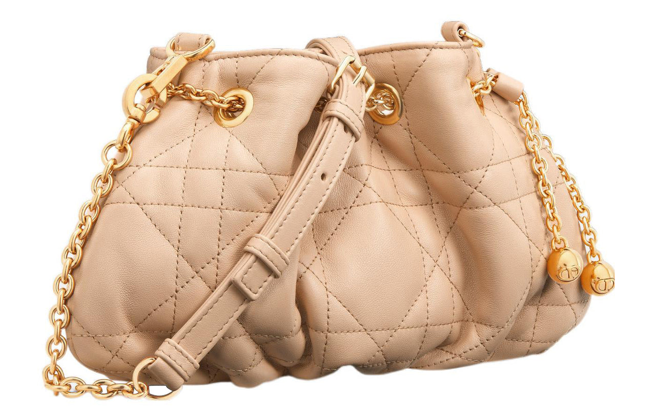 DIOR Ammi Crossbody Bags