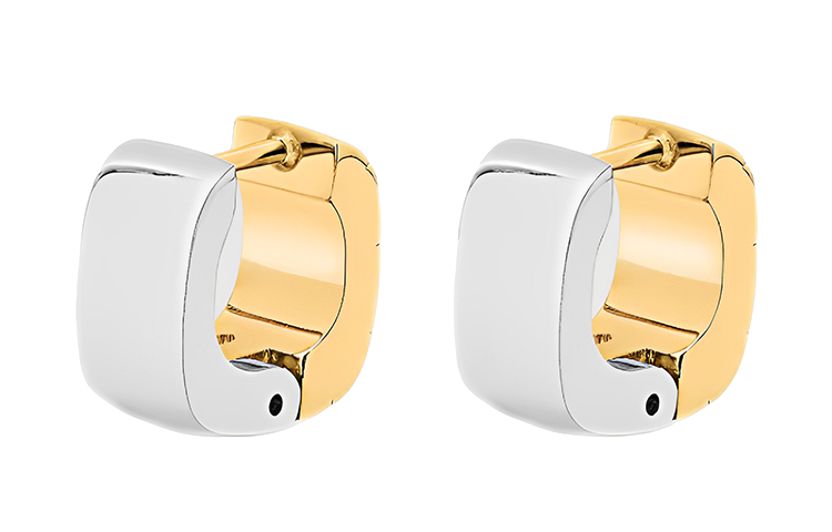 LOUIS VUITTON Nanogram Earrings