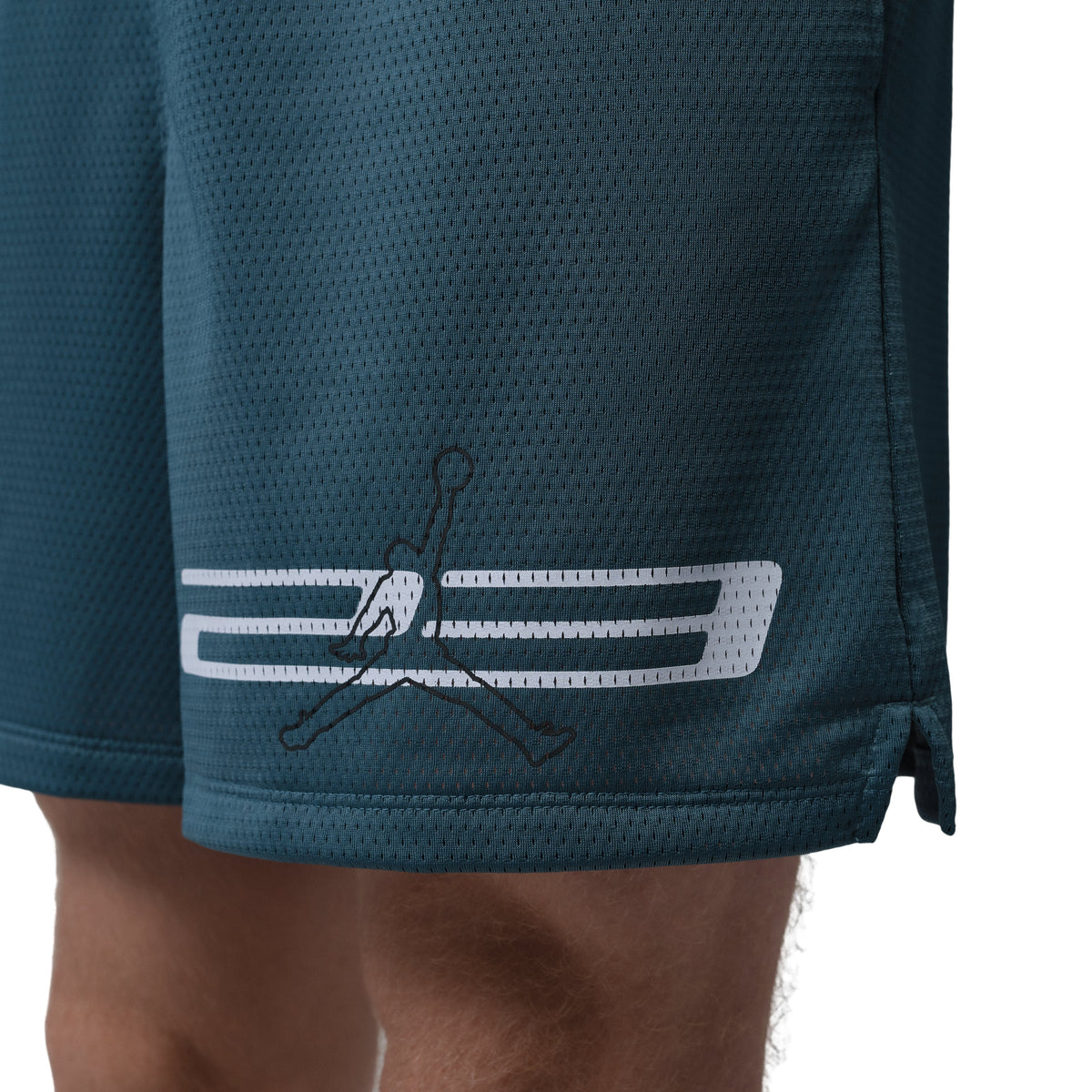 Jordan Dri-FIT Mesh Graphic Shorts 'Ash Green' IF0872-031