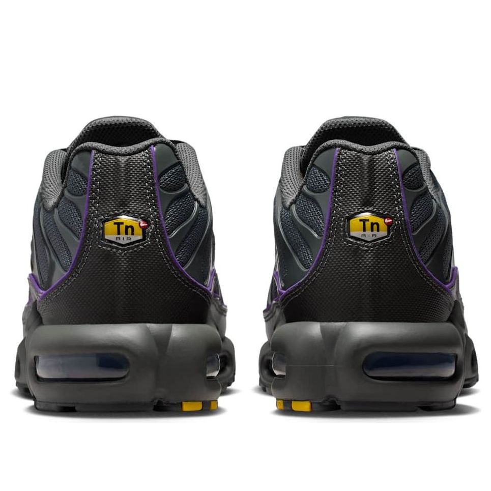 Nike Air Max Plus 'Iron Grey Wild Grape' HV8066-001