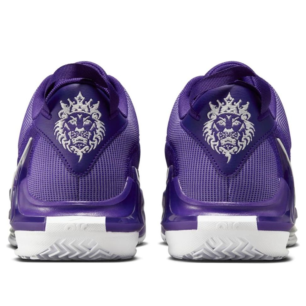 Nike LeBron Witness 7 TB 'Court Purple' DZ3299-500