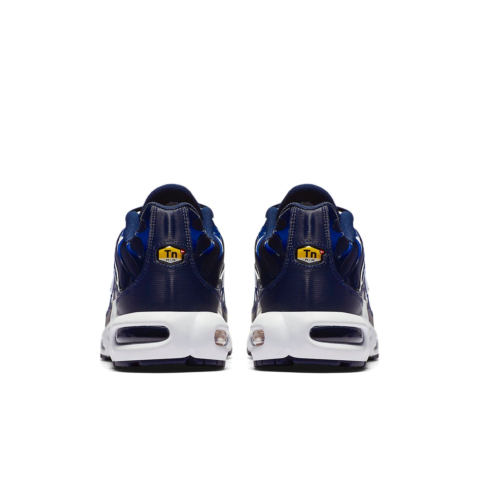 Nike Air Max Plus 'Gradient Pack' 852630-407