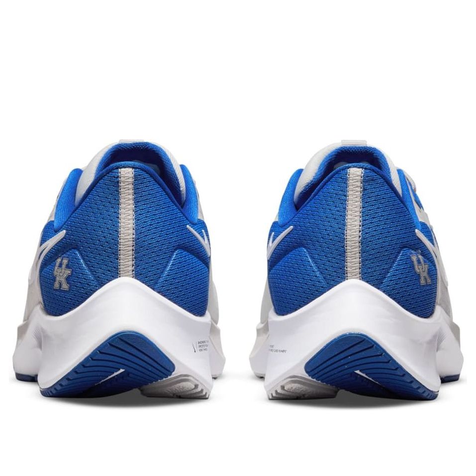 Nike Air Zoom Pegasus 38 'Kentucky' DJ0830-001