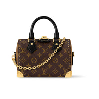 LOUIS VUITTON Speedy Trunk 20 Handbag Women's Brown