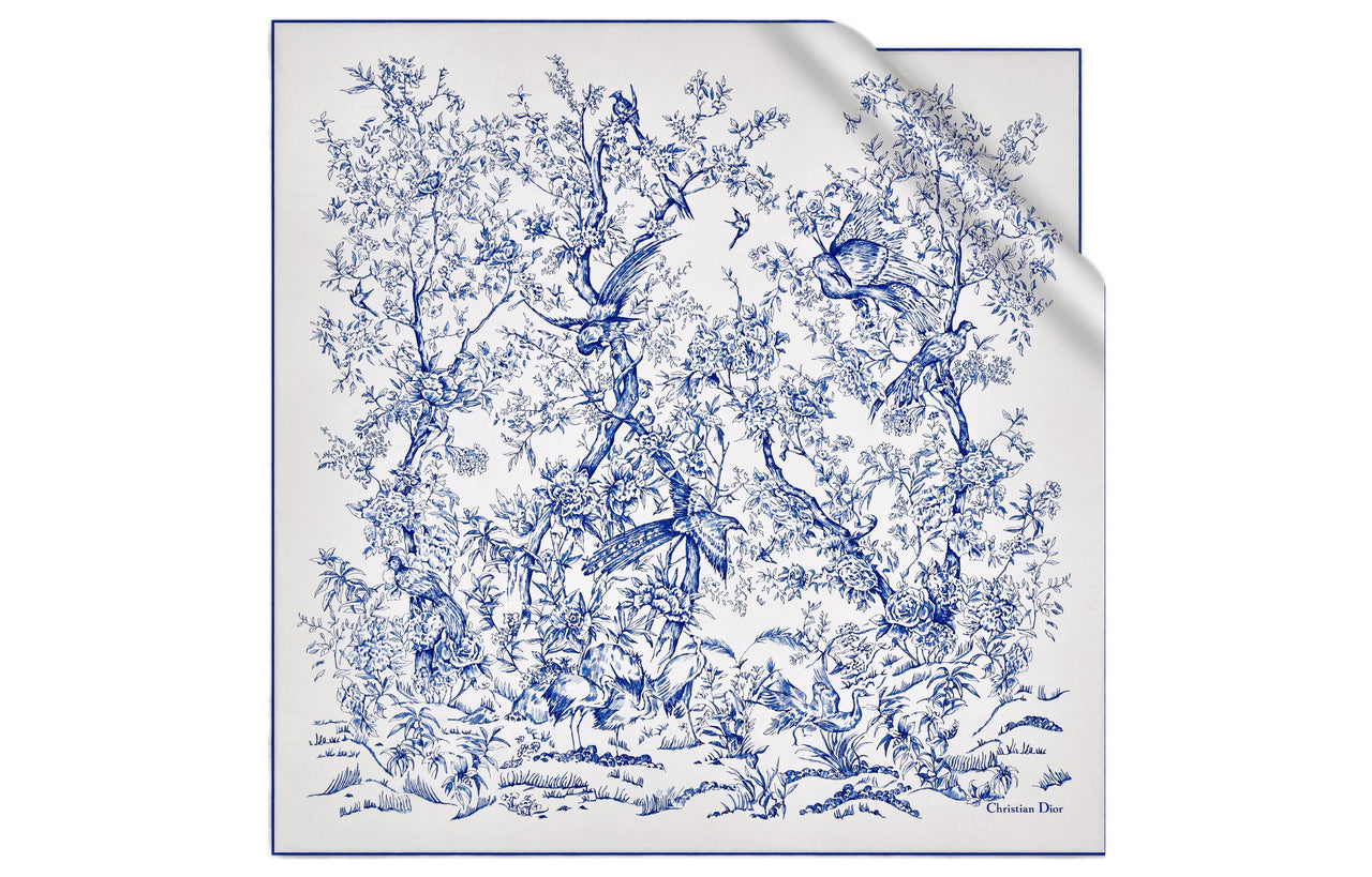 DIOR Silk Scarves Women's Blue/White