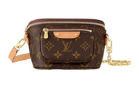 LOUIS VUITTON Mini Bumbag
