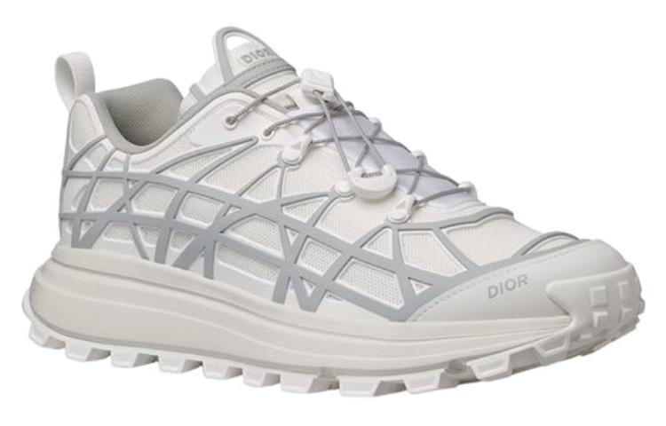 DIOR B31 Runner White Grey