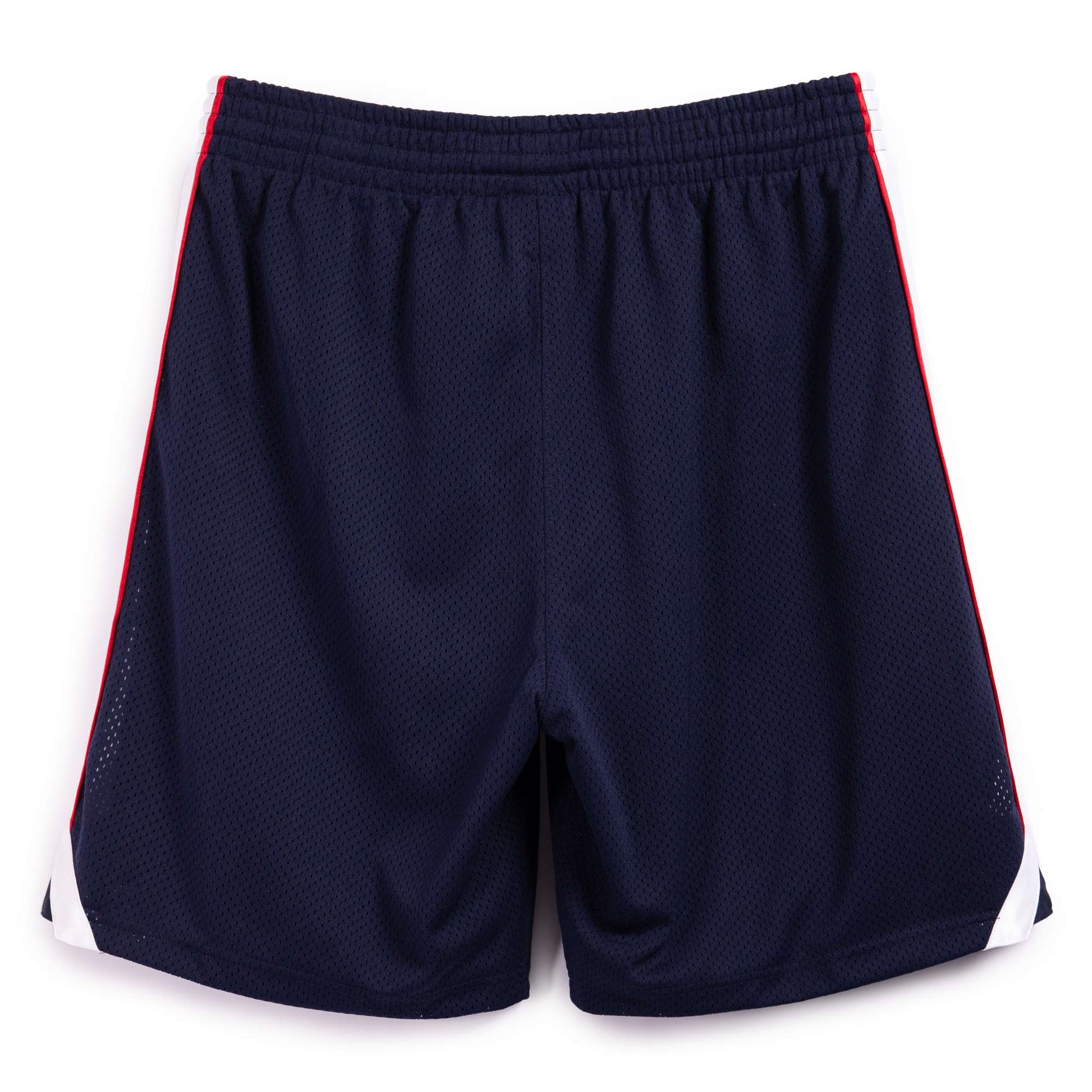 Mitchell & Ness Team USA 2000 Authentic Player Shorts 'Navy Red' 202116942