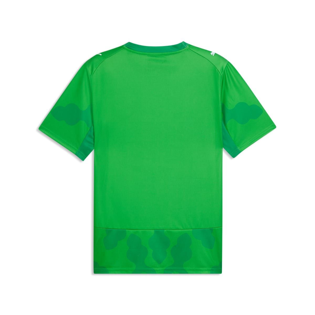PUMA x EGYPT x SALEHE BEMBURY Goalkeeper Jersey 'PUMA Green Fast Green' 787112-80