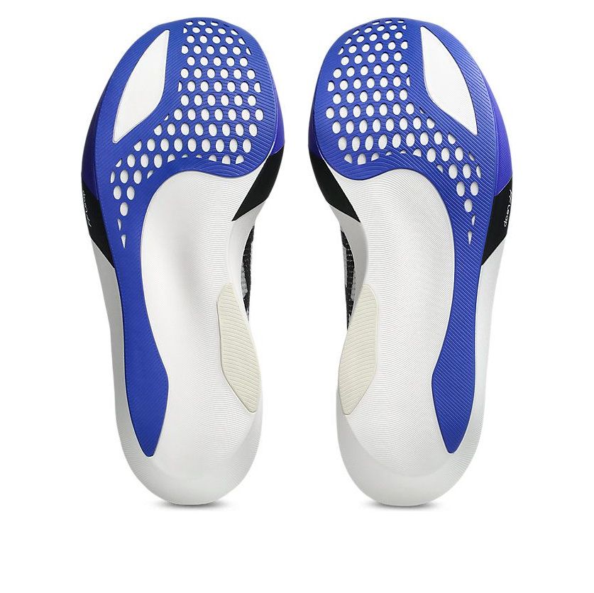 ASICS Metaspeed Sky Tokyo 'White Cobalt Burst' 1013A162-101