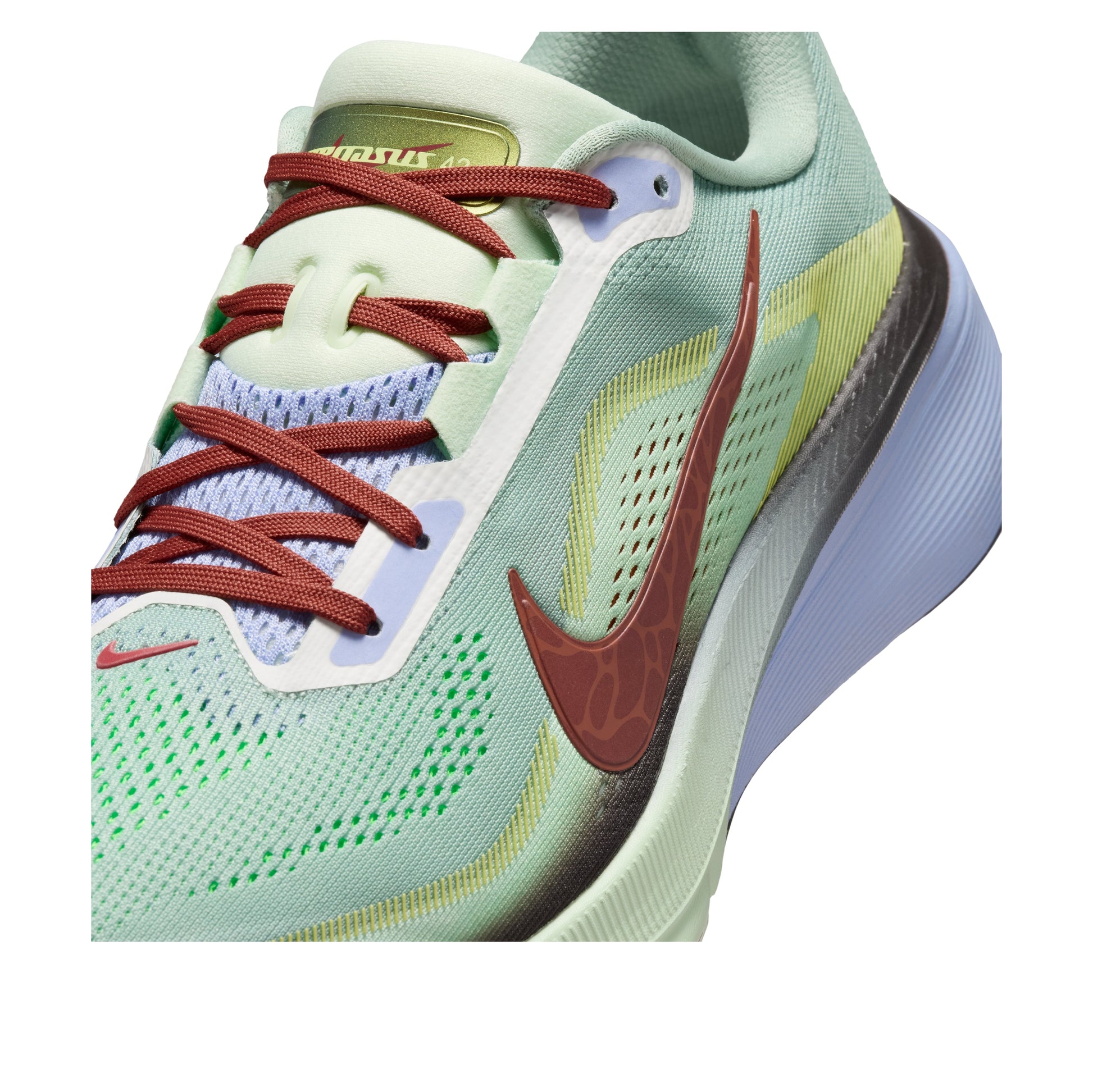 Nike Air Zoom Pegasus 42 SE 'Steam Frosted Spruce' IW1247-099