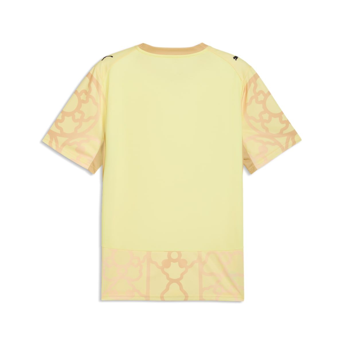 PUMA x CZECHIA x SALEHE BEMBURY Goalkeeper Jersey 'Gold Moon Pebble Path' 787096-84