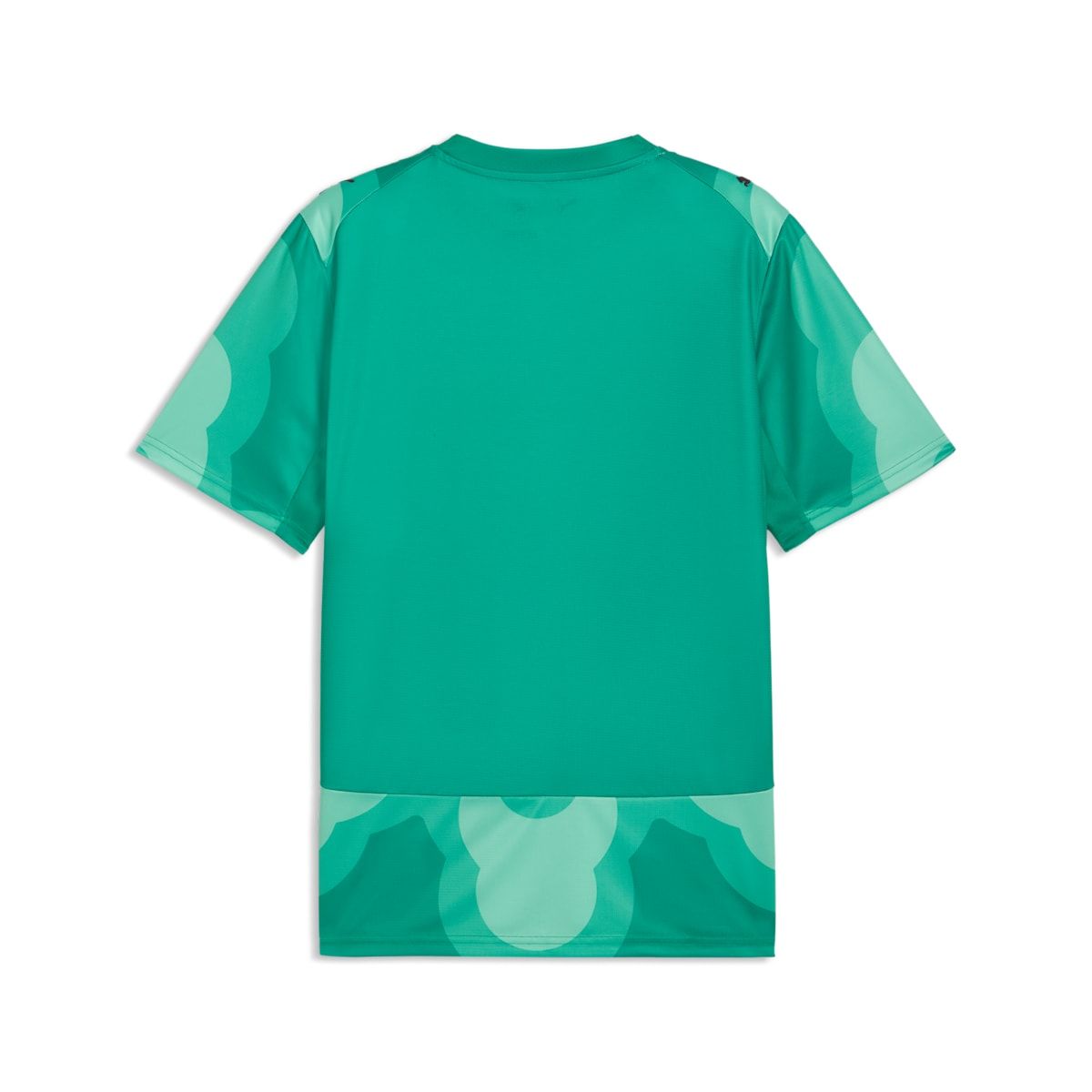 PUMA x COTE D'IVOIRE x SALEHE BEMBURY Goalkeeper Jersey 'Sparkling Green PUMA Black' 787111-89