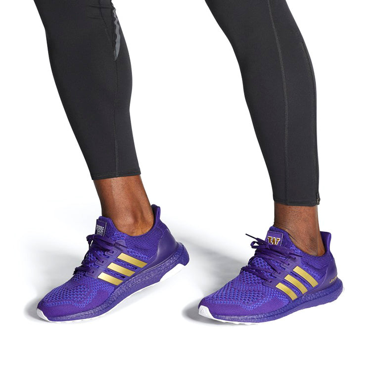 adidas x NCAA Ultraboost 1.0 'Washington' FY5811