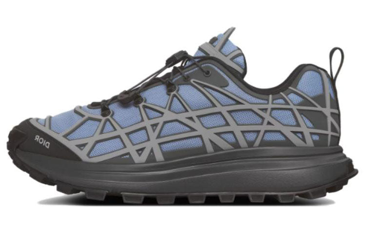 DIOR B31 Low Top Casual Shoes Men's Blue