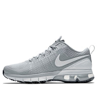 Nike Air Max TR180 TB 'Wolf Grey' 723991-011