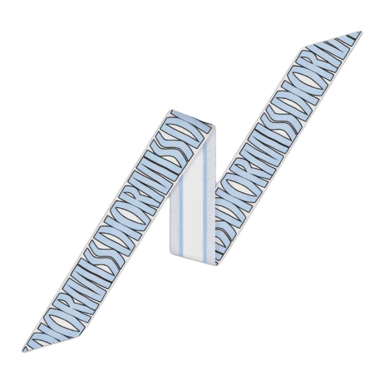 DIOR Silk Silk Scarves Women's Light Blue