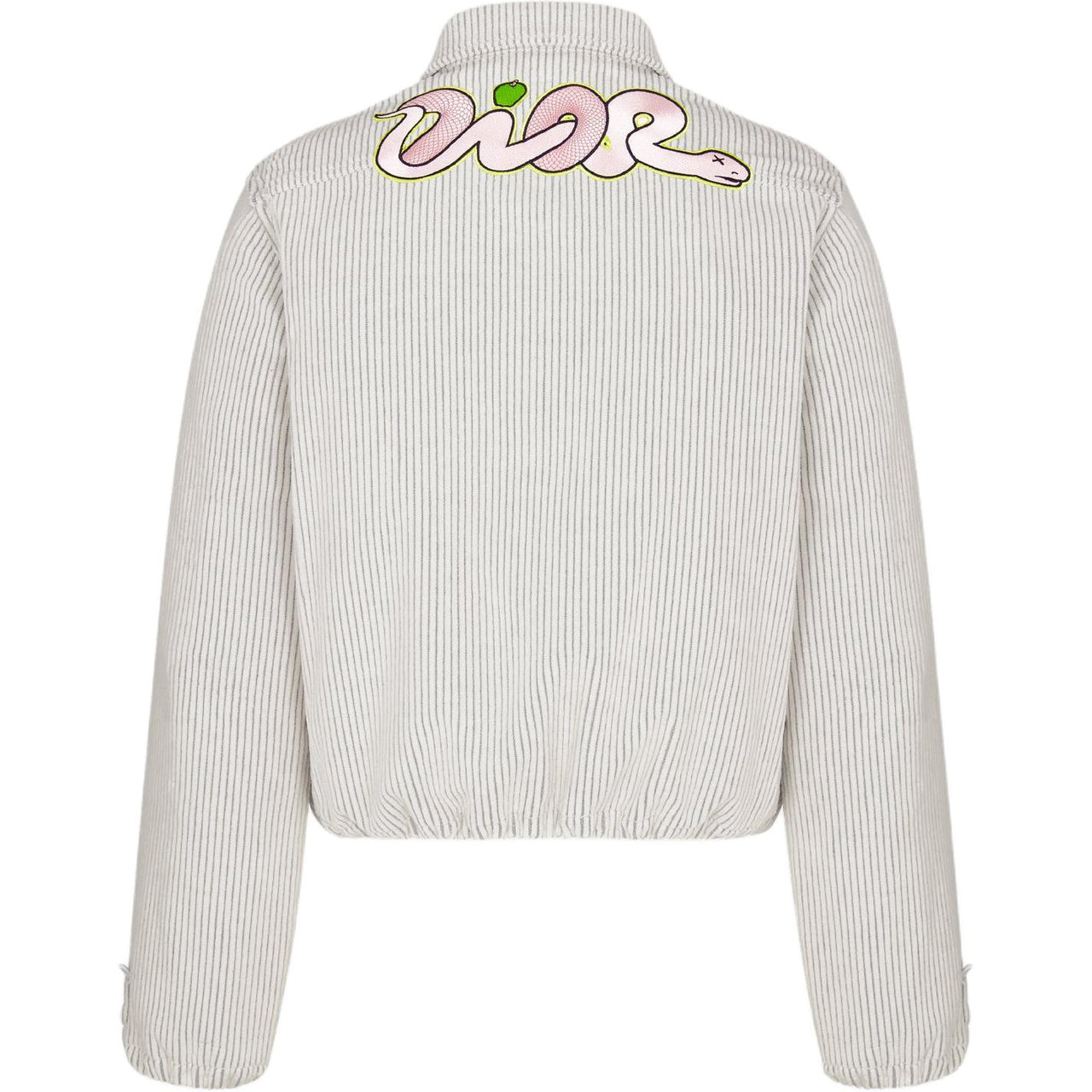 DIOR X Kaws Zipped Blouson Jacket