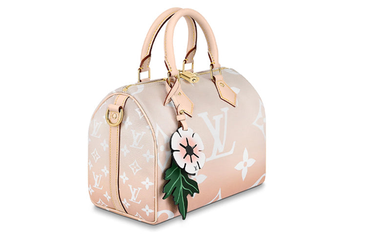 LOUIS VUITTON Speedy Bandouliere Gradient Pastel 25 Mist Gray