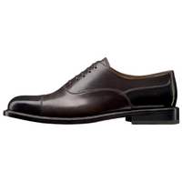DIOR Embassy Dress Shoes Men's Brown