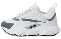 DIOR B22 'White Grey'