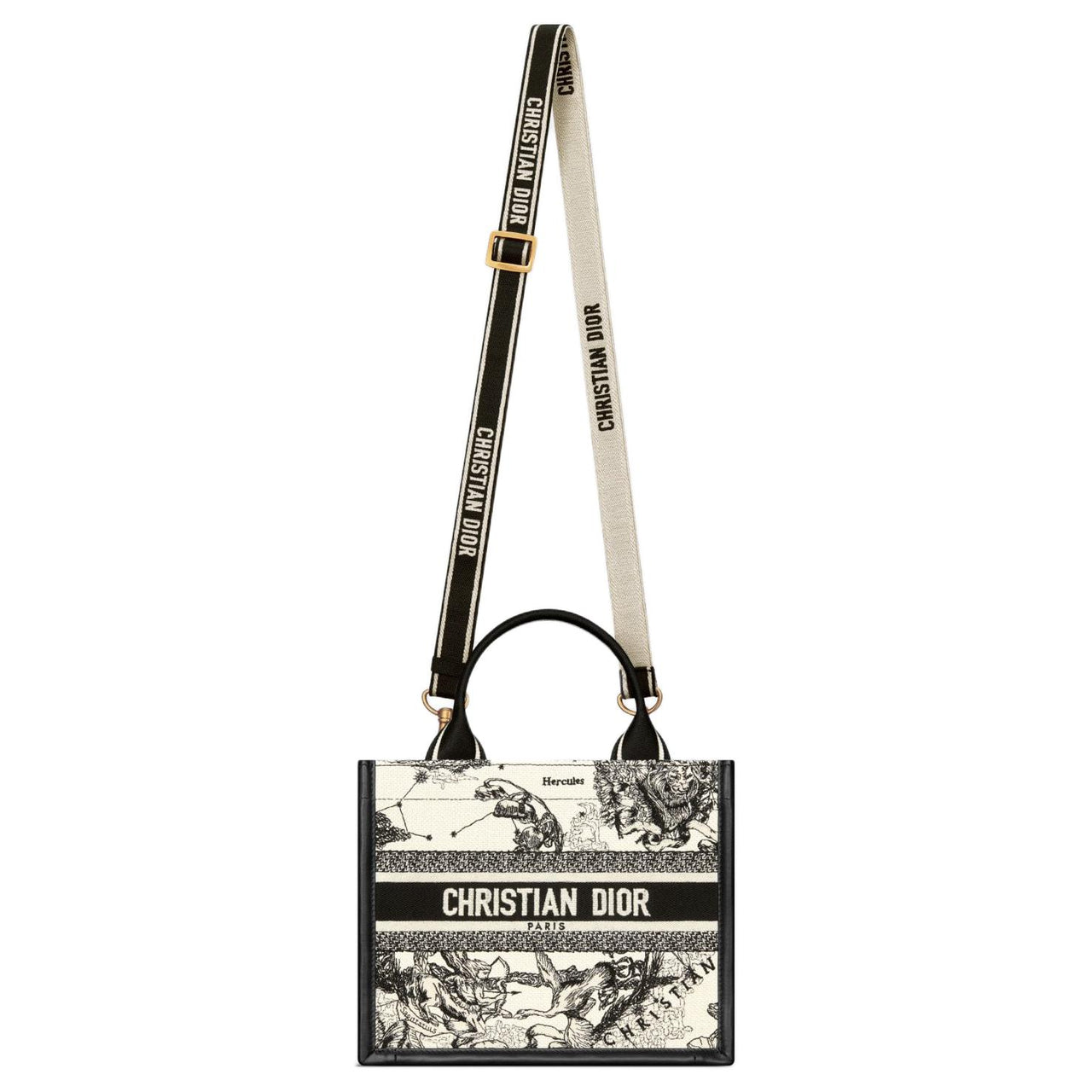 DIOR BookTote Calfskin Tote Bag Shopping Bag Shoulder Bag Handbag Small Size Women's Black
