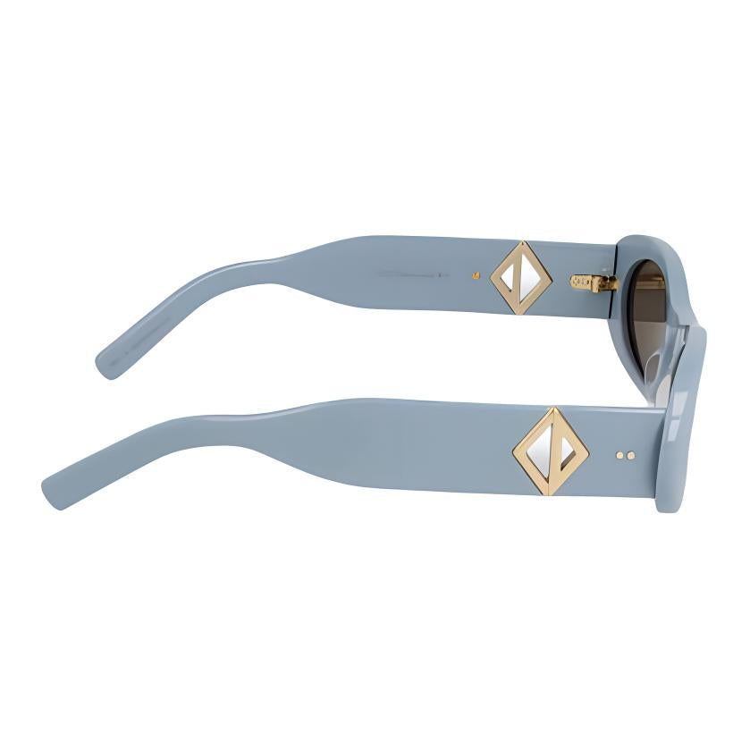 DIOR X Cactus Jack Cd Diamond R1I Sunglasses