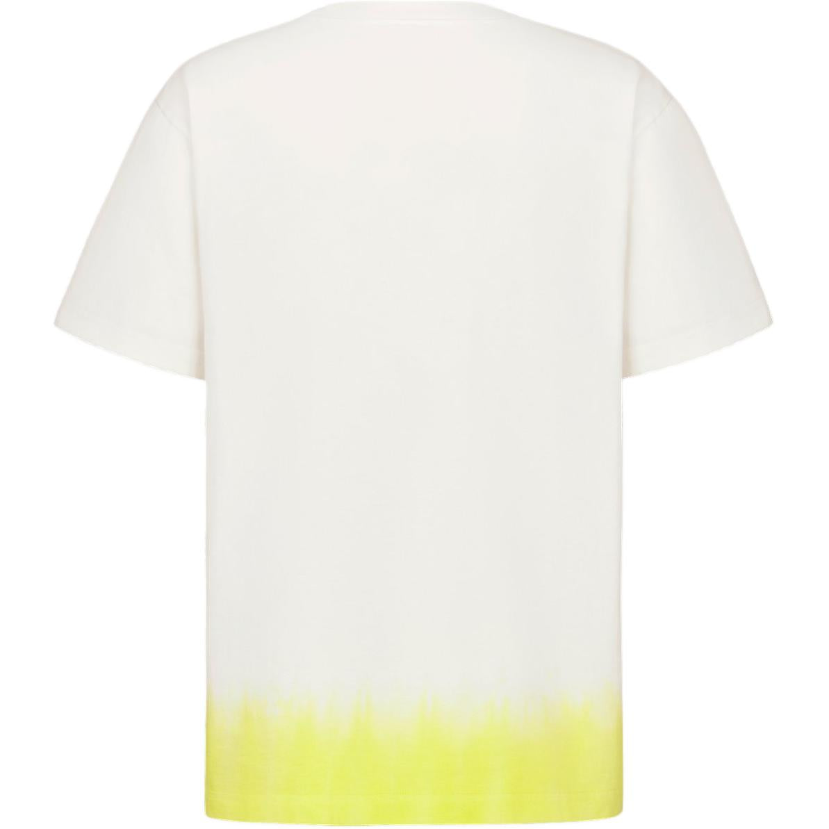 DIOR X Kaws Relaxed Fit T shirt