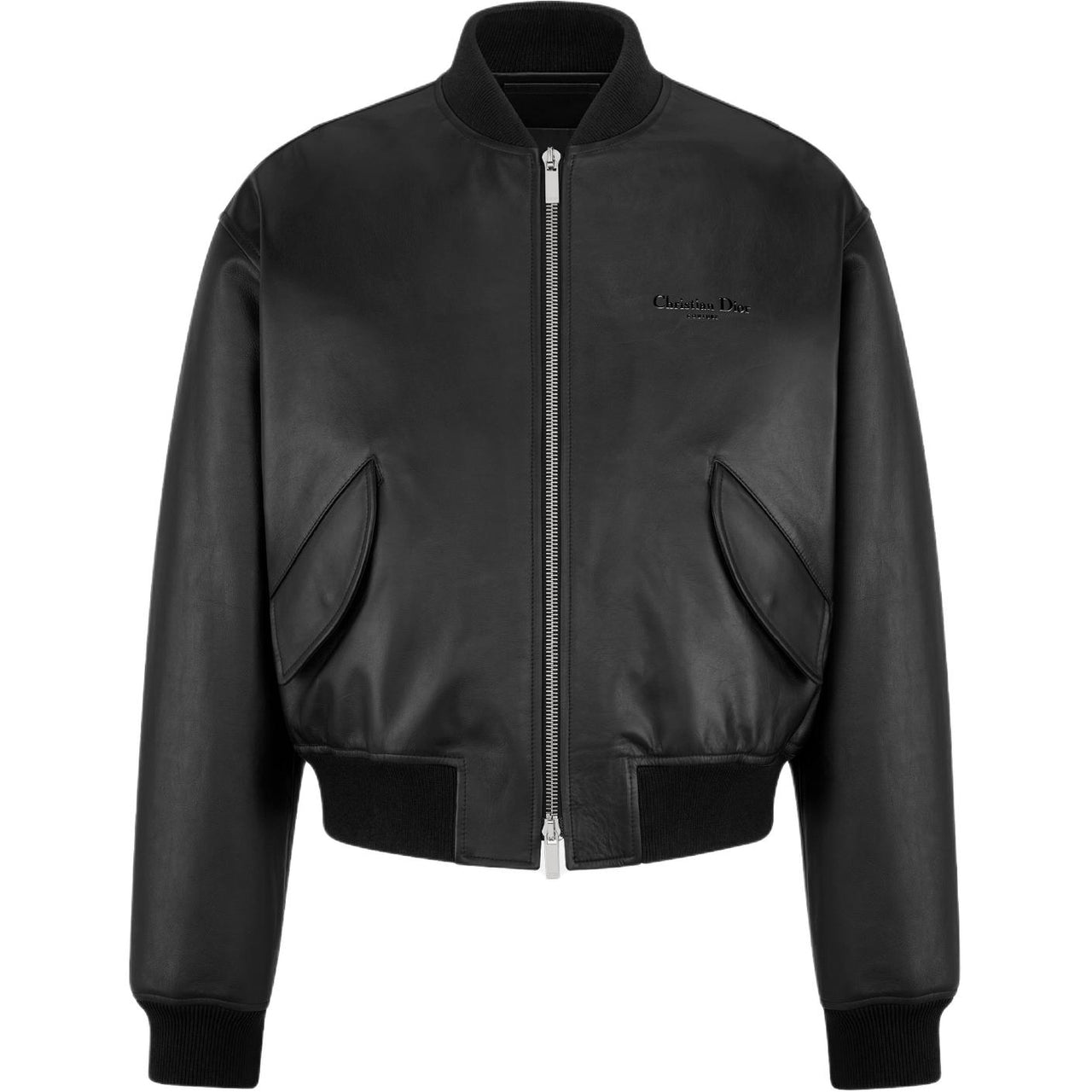 DIOR SS25 Leather Jacket Men's Black
