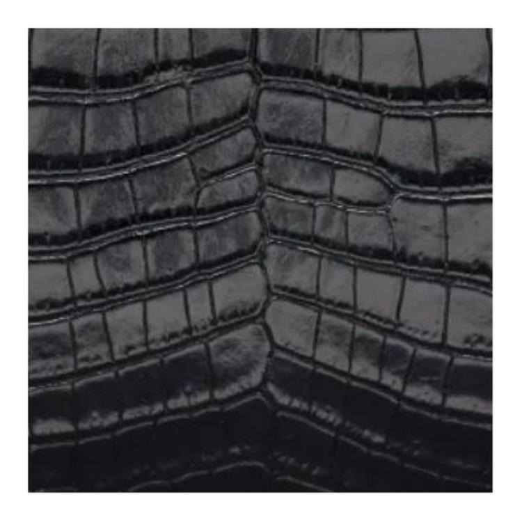 PRADA Crocodile Leather Clutch Unisex Black