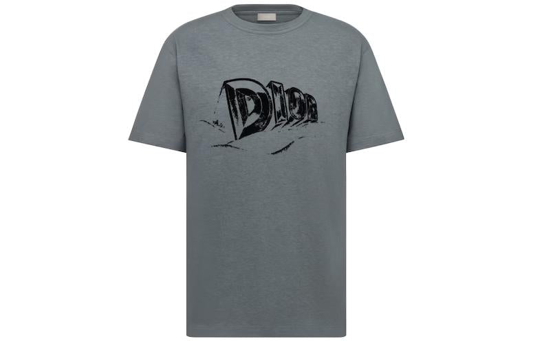 DIOR T-Shirts Men Gray