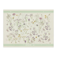 DIOR Cotton Shawls Women's Green