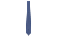 LOUIS VUITTON Ties Women's Blue
