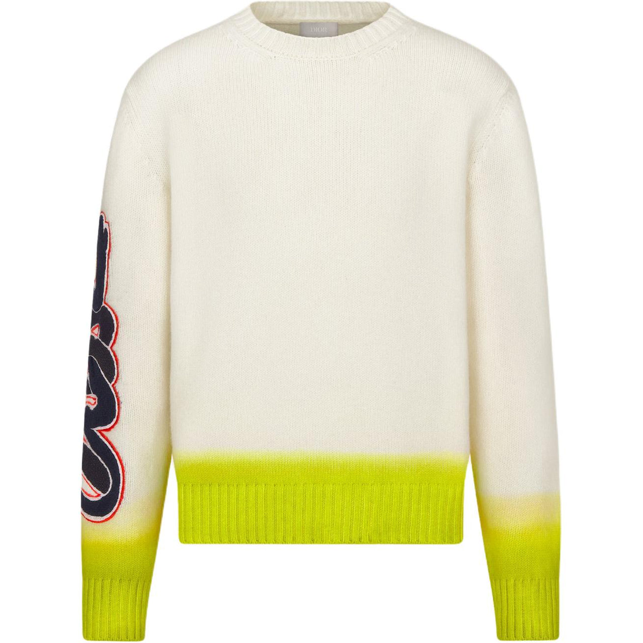 DIOR X Kaws Sweater