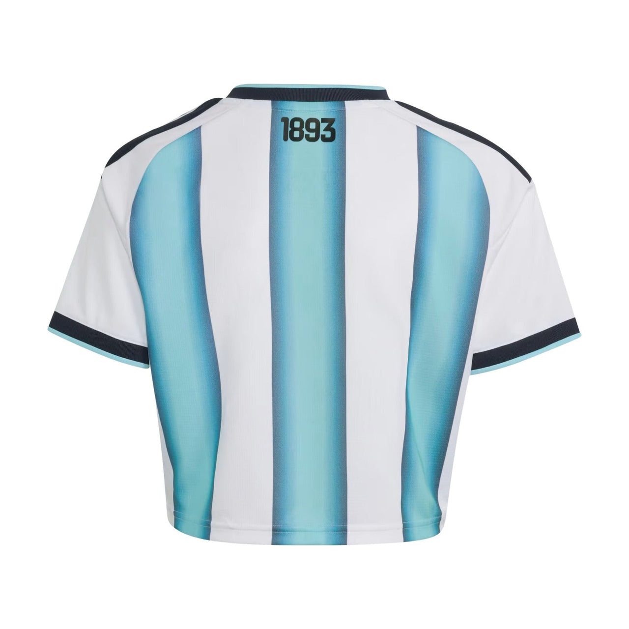 (WMNS) adidas Argentina 26 Home Cropped Jersey 'White Icey Blue Light Blue' KE5982