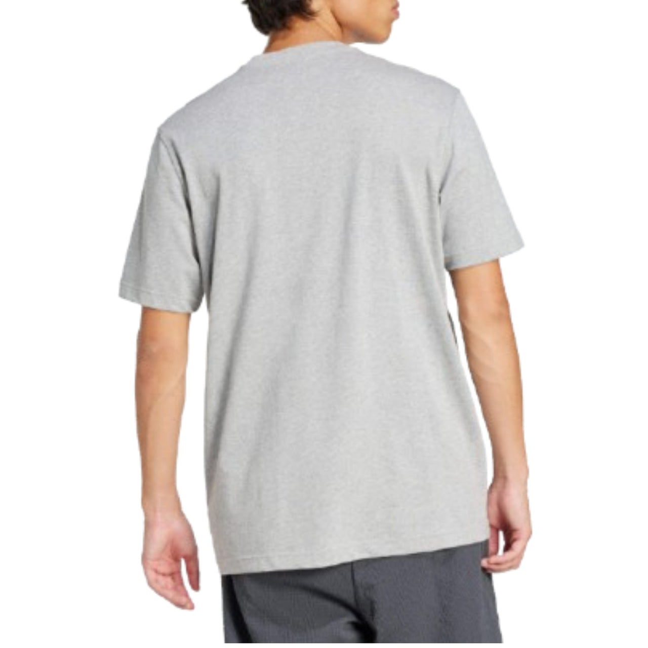 adidas Adicolor Outline Trefoil T-Shirt Asia Sizing 'Grey' JP1087