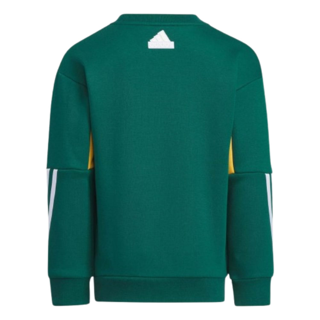 (GS) adidas City Escape Graphic Crew Sweater Asia Sizing 'Green' IY5032