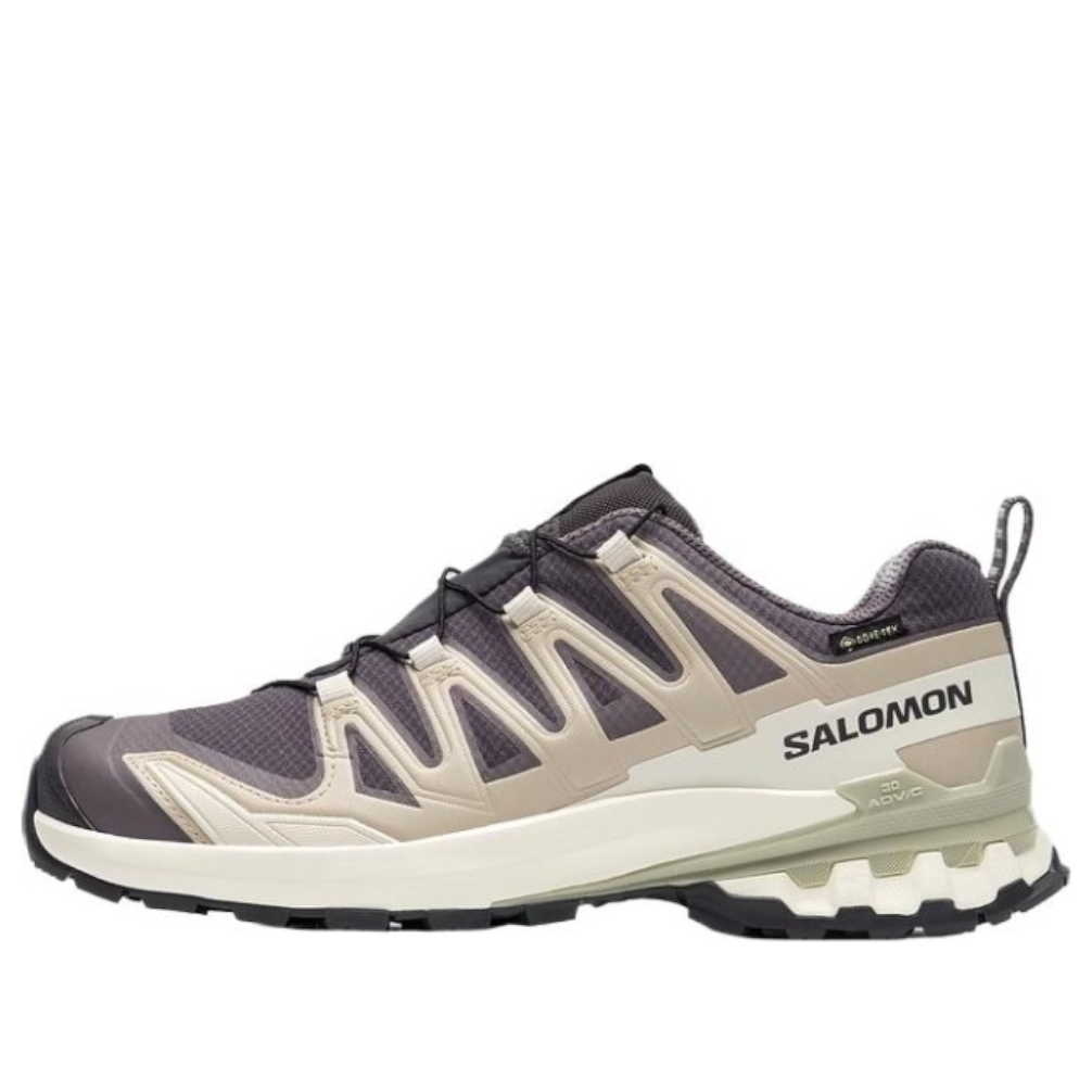Salomon XA Pro 3D V9 GTX 'Dark Grey Beige' 477447